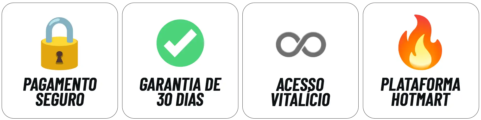 Garantia de acesso vitalício